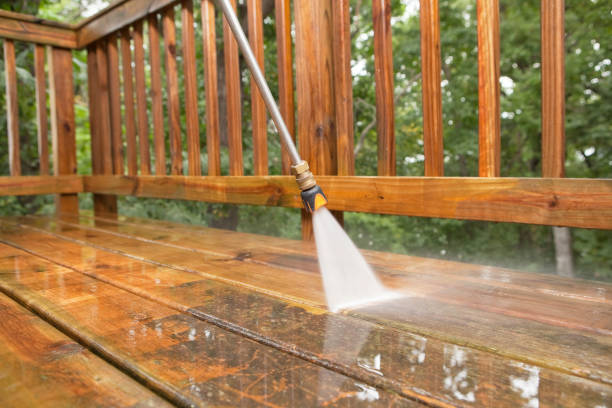 Best Roof Cleaning and Mildew Removal in Racend, LA